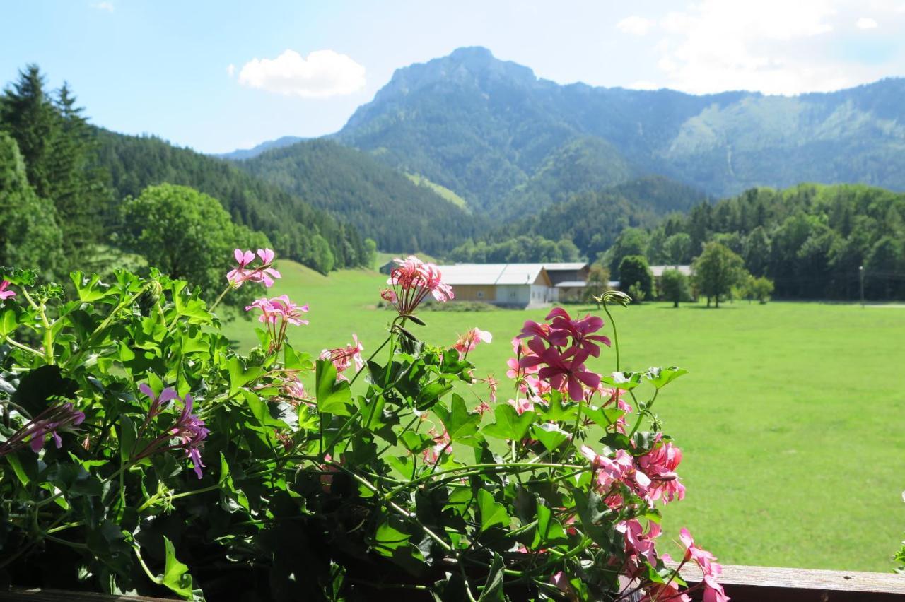 Gaestehaus Wasserburger Kernhof Exterior foto